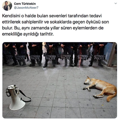 Beyzbol Sopasıyla Dövülüp Köprüden Atılan ve Milyonlarca İnsana Vefa Dersi Veren Köpek Loukanikos'un Göz Dolduran Hikayesi