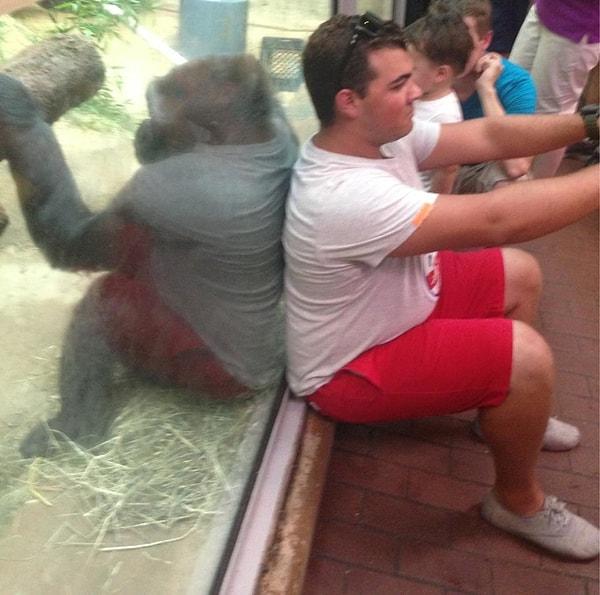 5. "Bu adam selfie çekiyor ve goril de aynısını yapıyor."