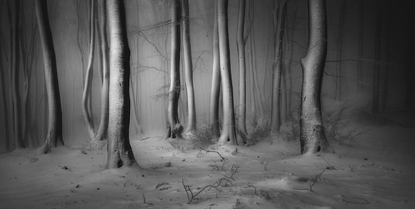 Премия "Снег и лед": центр Балкан, Болгария, Веселин Атанасов