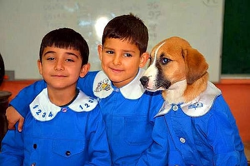 Sağlık Durumu Kötüleşen 'Fındık' Tedavi İçin Ankara'ya Gönderildi