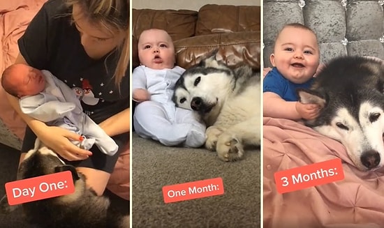 İşte Gerçek Sevgi: Birlikte Büyüyen İki Dostun İlk Günden İtibaren Kaydedilen Efsane Görüntüleri!