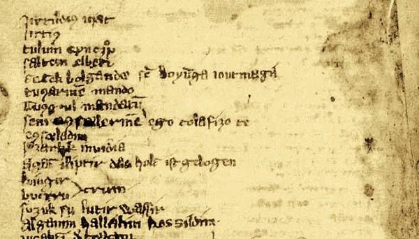5. Tarihte Codex Cumanicus adıyla bilinen Sözlük hangi Türk devletine aittir?