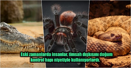 Vücudunuzun Ürpermesini İliklerinize Kadar Hissettirerek Kabus Görmenize Neden Olacak 15 Korkunç Bilgi