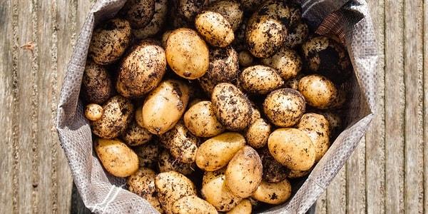 7. Şimdiyse dünyada en çok patates tüketen ülkeler arasında Avrupa Ülkeleri de bulunyor.