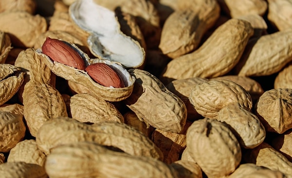 6. Арахис технически не является видом ореха.