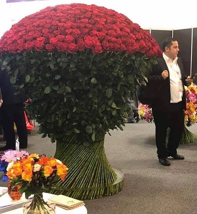 14. 'Bi b*klar yedim ama beni affet aşkım' çiçeği.