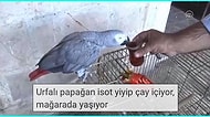 Başlığından Bile Ne Kadar Garip Olduğunu Tahmin Edebileceğimiz Birbirinden Garip 15 YouTube Videosu