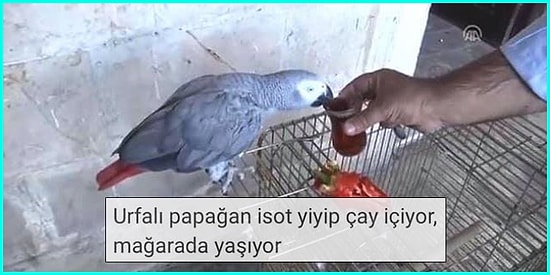 Başlığından Bile Ne Kadar Garip Olduğunu Tahmin Edebileceğimiz Birbirinden Garip 15 YouTube Videosu