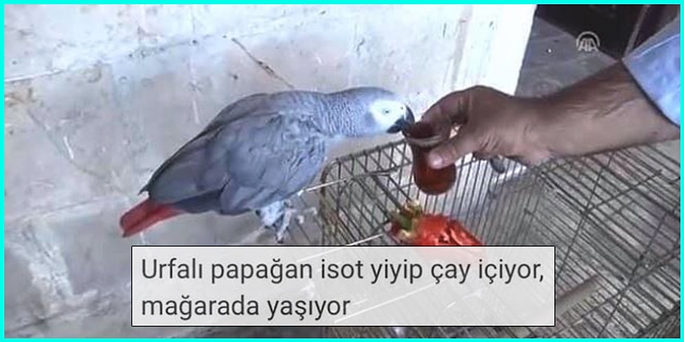 Başlığından Bile Ne Kadar Garip Olduğunu Tahmin Edebileceğimiz Birbirinden Garip 15 YouTube Videosu