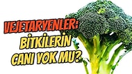 Bitkilerin de Canı Var! Madem Canlıları Koruyorlar, Vejetaryenler Neden Hayvanları Yemiyor da Bitkileri Yiyor?