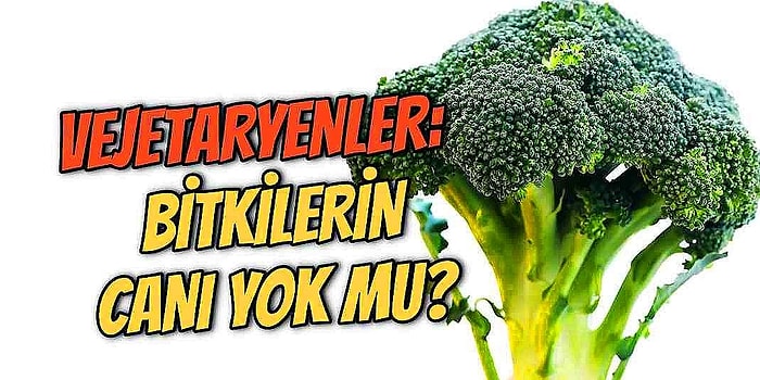 Bitkilerin de Canı Var! Madem Canlıları Koruyorlar, Vejetaryenler Neden Hayvanları Yemiyor da Bitkileri Yiyor?