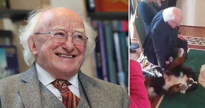 İrlanda Cumhurbaşkanı Michael D. Higgins'in Köpeğinin Yüzlerce Davetlinin Arasında Dostunu Arayıp Bulunca da Göbeğini Sevdirdiği Müthiş Anlar!