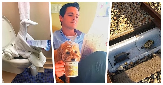 İşlerini En İyi Şekilde Yaparak Gören Herkesi Kendisine Hayran Bırakan 20 Kişi