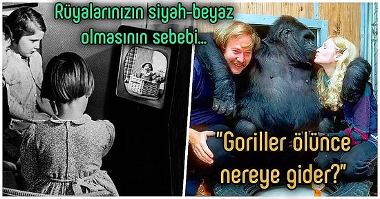 Acayip Bilgiler Kuşağı: Kısa Süreliğine de Olsa Koronavirüsten Başka Bir Şey Düşünmenizi Sağlayacak 15 Gerçek