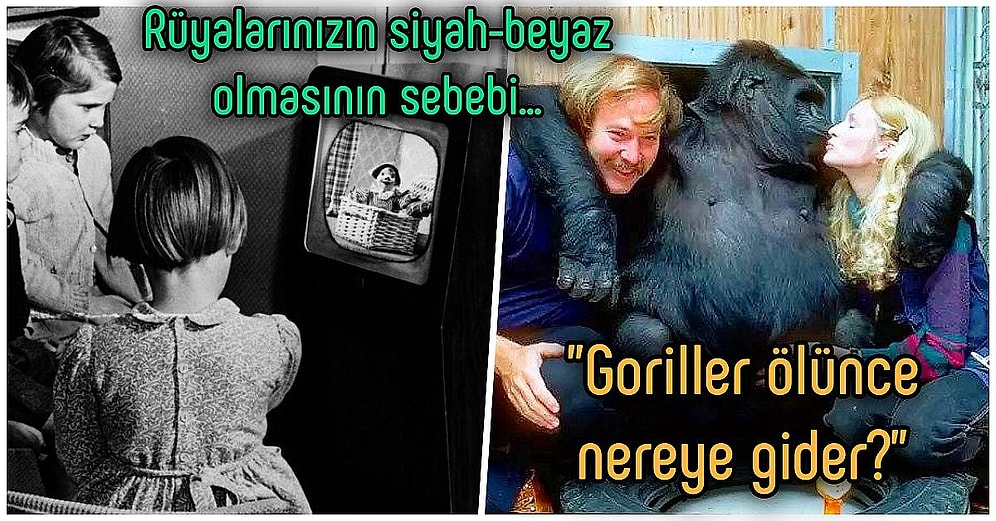 Acayip Bilgiler Kuşağı: Kısa Süreliğine de Olsa Koronavirüsten Başka Bir Şey Düşünmenizi Sağlayacak 15 Gerçek
