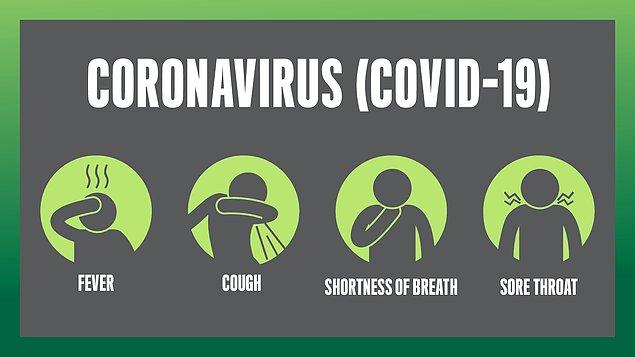Esasında Koronavirüsler fare, yarasa ve insan gibi aklınıza gelebilecek tüm memelilerde üst solunum yolu enfeksiyonuna sebep olan bir hastalıktır.