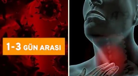 Koronavirüs Salgınına Yakalanan İnsanlarda Görülen Belirtileri Kronolojik Şekilde Gösteren Video