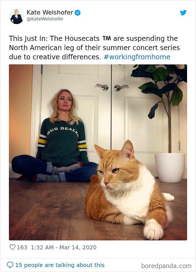 37. "Son Dakika: 'Ev Kedileri' grup içinde yaşanan yaratıcılık çatışmaları yüzünden Kuzey Amerika turnesini erteledi."