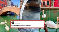 Doğa Kendisinin Olanı Geri Alıyor! Venedik'te İnsanlar Evlere Kapanınca Kanalların Geldiği Hal Çok Şaşırttı