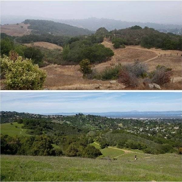 1. Во время и после периода засухи