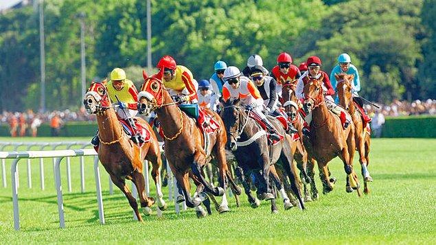 Koronavirüs nedeniyle at yarışları ertelendi