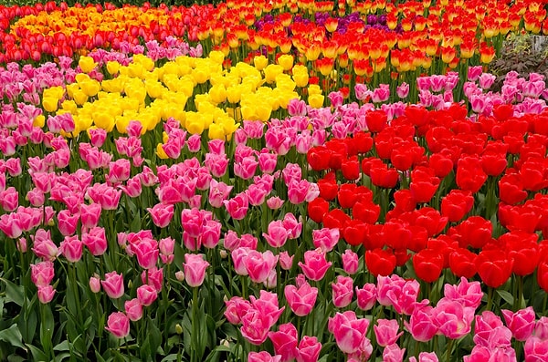 Hiç fena sayılmazsın!