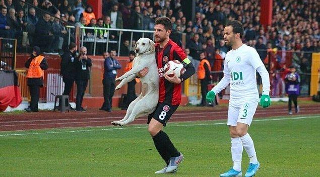 2. Karagümrük futbol maçında sahaya izinsiz giren ve çıkmamakta direnen bu harika sokak köpeğini hatırlıyor musunuz?