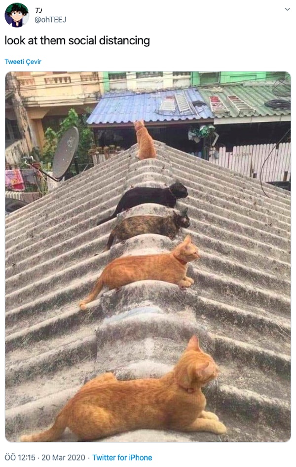 4. "А ты соблюдаешь социальное расстояние?"