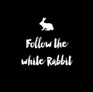 white rabbit Yazar Profil Resmi