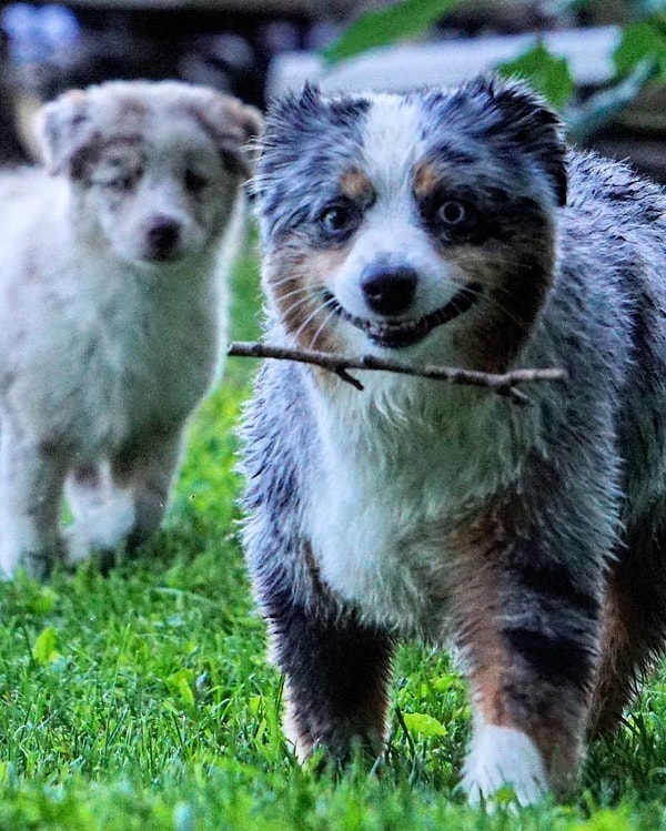 20. Это чувство перед тем, как получить желаемое: