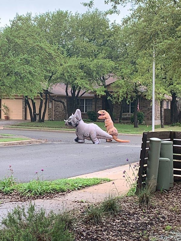 5. Ты - уже не ты, когда идет 10 день карантина