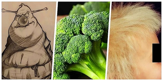 İnternet Kullanıcılarının Son Zamanlarda Keşfettiği Akıllarından Bir Türlü Çıkmayan 14 Bilgi