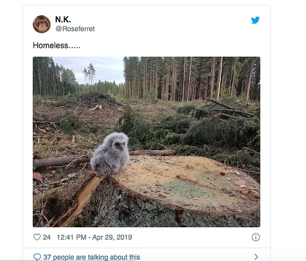 13. Теперь у него нет дома...