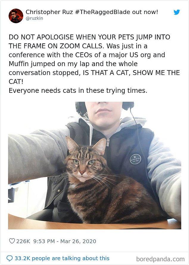 2. "Zoom aramalarında kadraja atlayan evcil hayvanınız için özür dilemeyin.