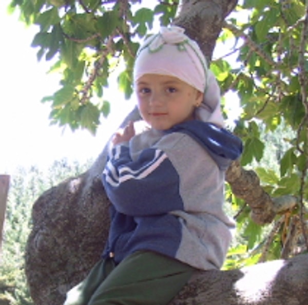 kakaolu Kelebek