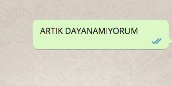 WhatsApp'ta Hoşlandığın Kişiyi Tavlayabilecek misin?