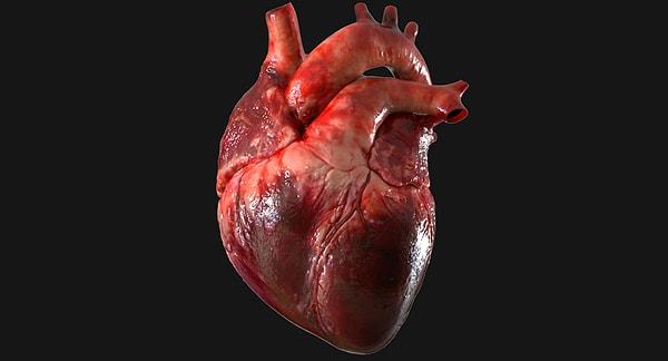 17. Hayatımız boyunca kalbimiz yaklaşık 2.5 milyar kez çarpar, her gün binlerce litre kan pompalar.