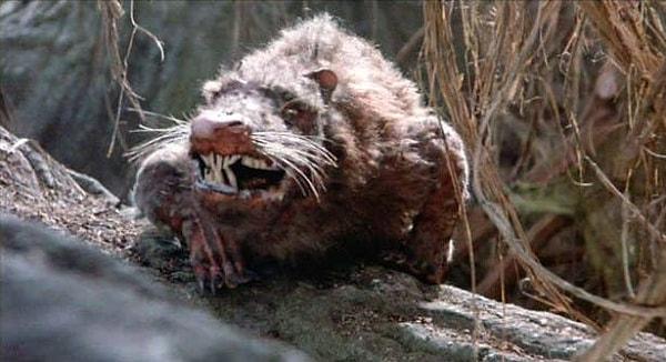 5. 'Rodents of Unusual Size'