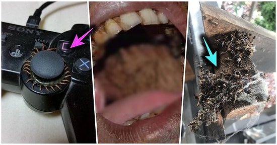 İnsana 'Bunları Göreceğime 1 Yıl Daha Karantinada Kalırım!' Dedirten Birbirinden Acayip 21 Görsel