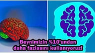 İnsan Beyni ile İlgili Bu Zamana Kadar İnanarak Aldandığımız Bilimsel Olarak Kanıtlanan Gerçekler