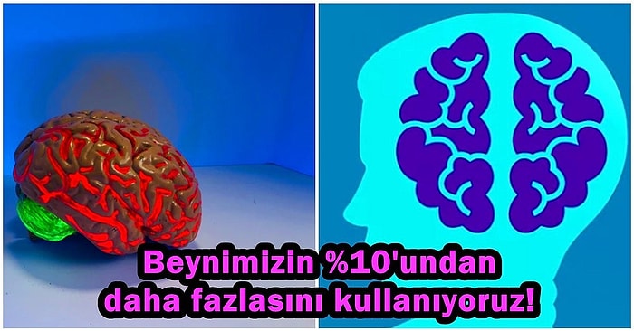 İnsan Beyni ile İlgili Bu Zamana Kadar İnanarak Aldandığımız Bilimsel Olarak Kanıtlanan Gerçekler