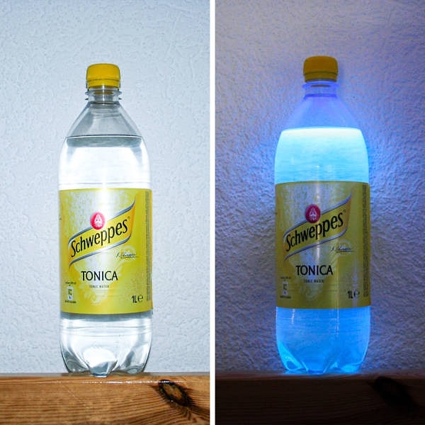 15. "Швепс" светится так благодаря хинину, полученному из хинного дерева.