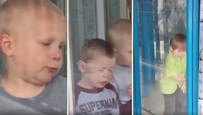 Camlı Bölüme Sürekli Olarak Çarpan Çocukların Aileleri Tarafından Kaydedilen Acı Dolu Anları