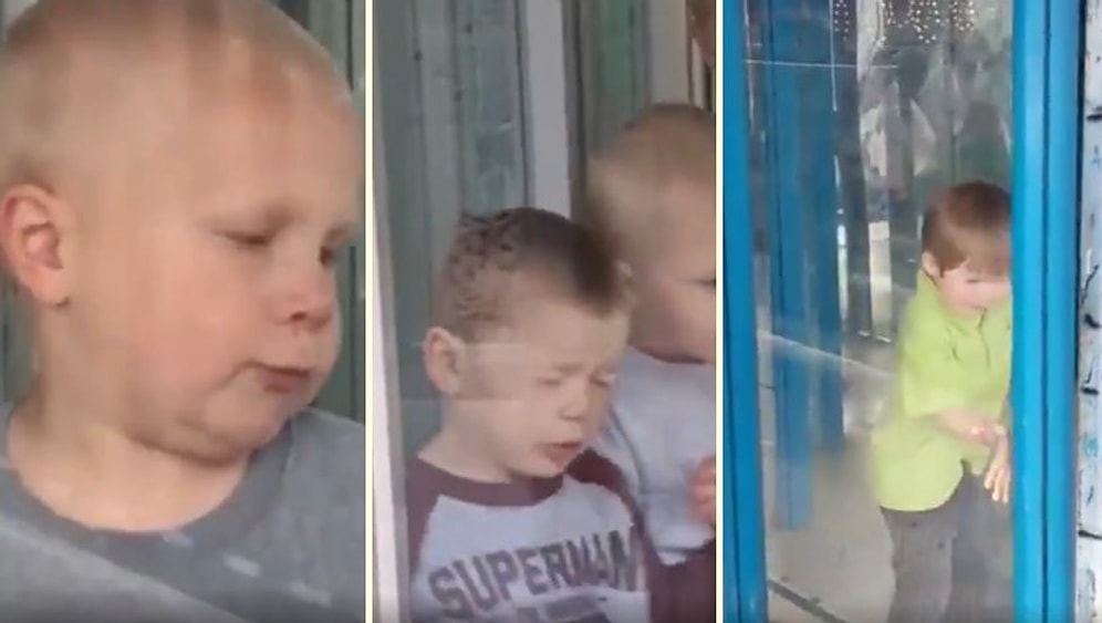 Camlı Bölüme Sürekli Olarak Çarpan Çocukların Aileleri Tarafından Kaydedilen Acı Dolu Anları