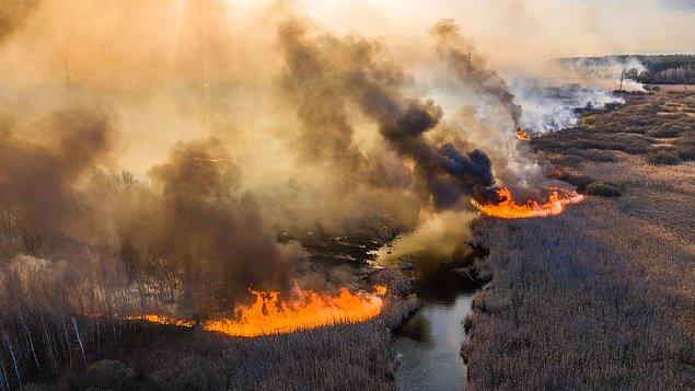 Yangın 3 bin 500 hektarlık alanı kapsıyor...
