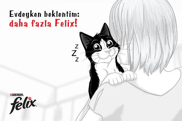 Akıllı Kediler Felix'i Kapar!