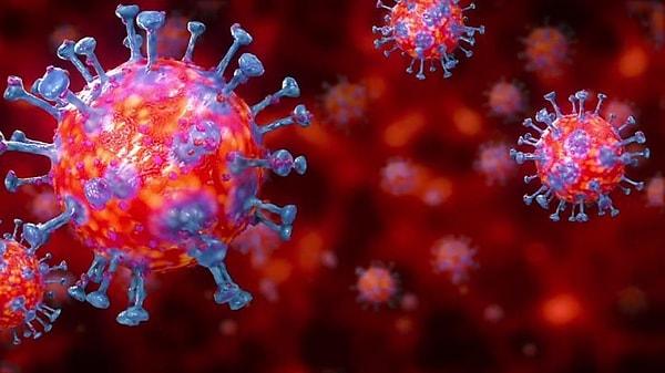 Biyolog Trevor Bedford'un yaptığı açıklamaya göre; “Kızamık, grip virüsleri ve koronavirüs kadar hızlı mutasyon geçiriyor, ancak 1950’de bulunan aşı bugün hala işe yarıyor.”