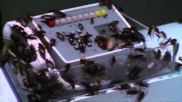 21. Creepshow (1982) filmindeki hamam böceği sahnesi: