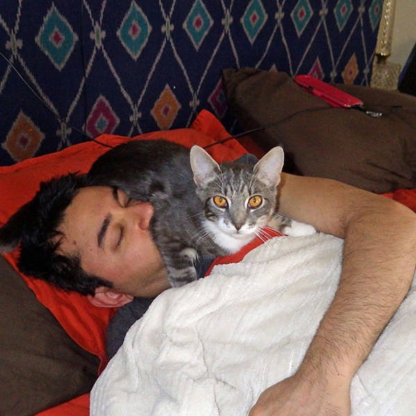 10. И еще немного фото неприхотливых питомцев: