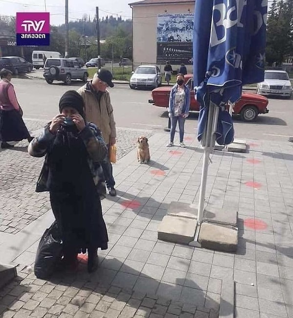 8. Собакам тоже не надо повторять два раза